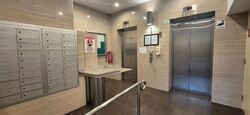 Haig 162 (D15), Apartment #591888401